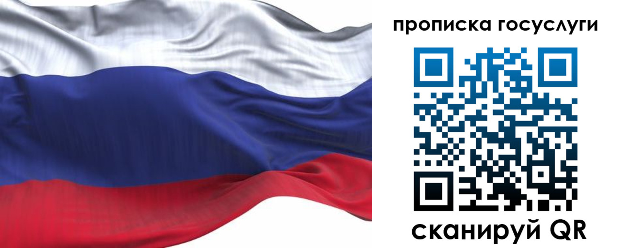 прописка для школы в Владимирской области